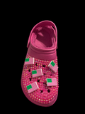Jibbitz 5 Pack Pink&Green Flag for Crocs and/or Bogg Bags