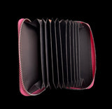 AKA Zippered Card Holder and Keychain